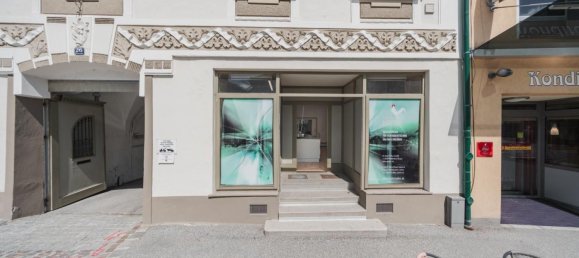 Gewerbliche Immobilie in Waidhofen an der Thaya, Austria 535m², Nr. 208404 3