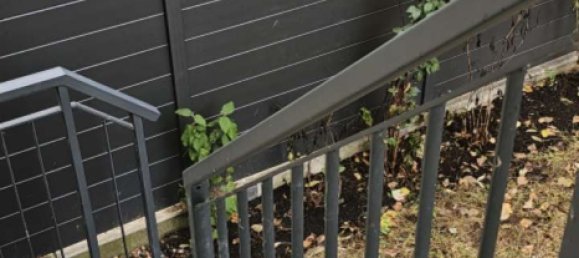 2 غرف نوم بناية في Steglitz, Germany رقم 241516 19