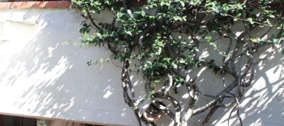 6 rooms Apartment in Carrara, Italy No. 51209 10