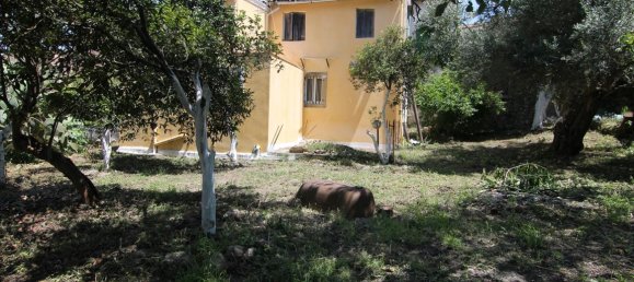 5 غرف نوم عقار تجاري في Corfu, Greece رقم 5590 11