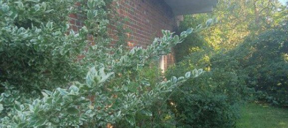 Casa de 10 habitaciónes en Verden, Germany No. 282116 15