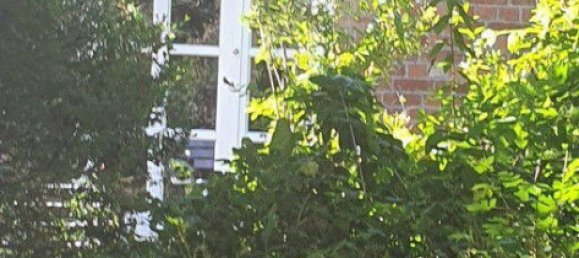 Casa de 10 habitaciónes en Verden, Germany No. 282116 19