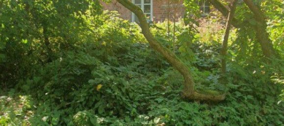 Casa de 10 habitaciónes en Verden, Germany No. 282116 21