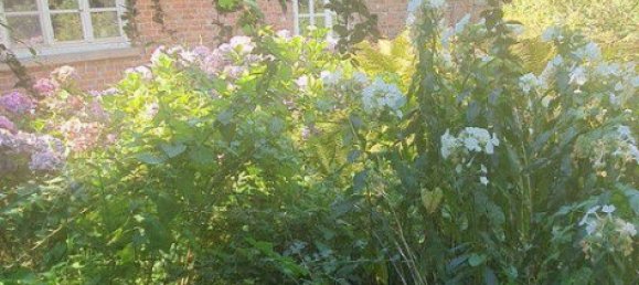 Casa de 10 habitaciónes en Verden, Germany No. 282116 18