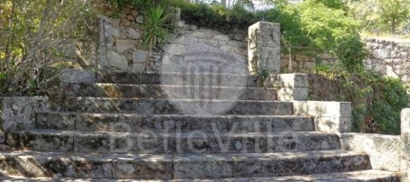 9 bedrooms Hotel in Abrunhosa a Velha, Portugal No. 41374 17