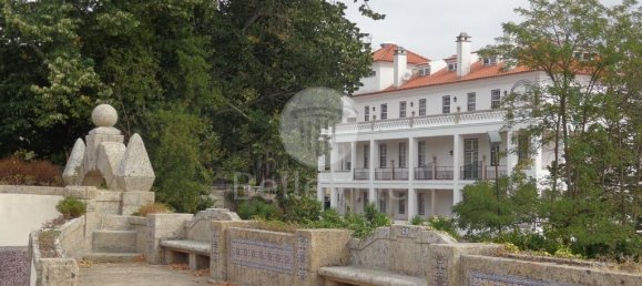 9 bedrooms Hotel in Abrunhosa a Velha, Portugal No. 41374 20