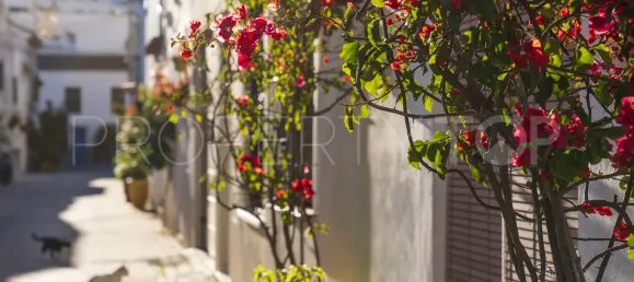 3 bedrooms Townhouse in Estepona, Spain No. 183164 33