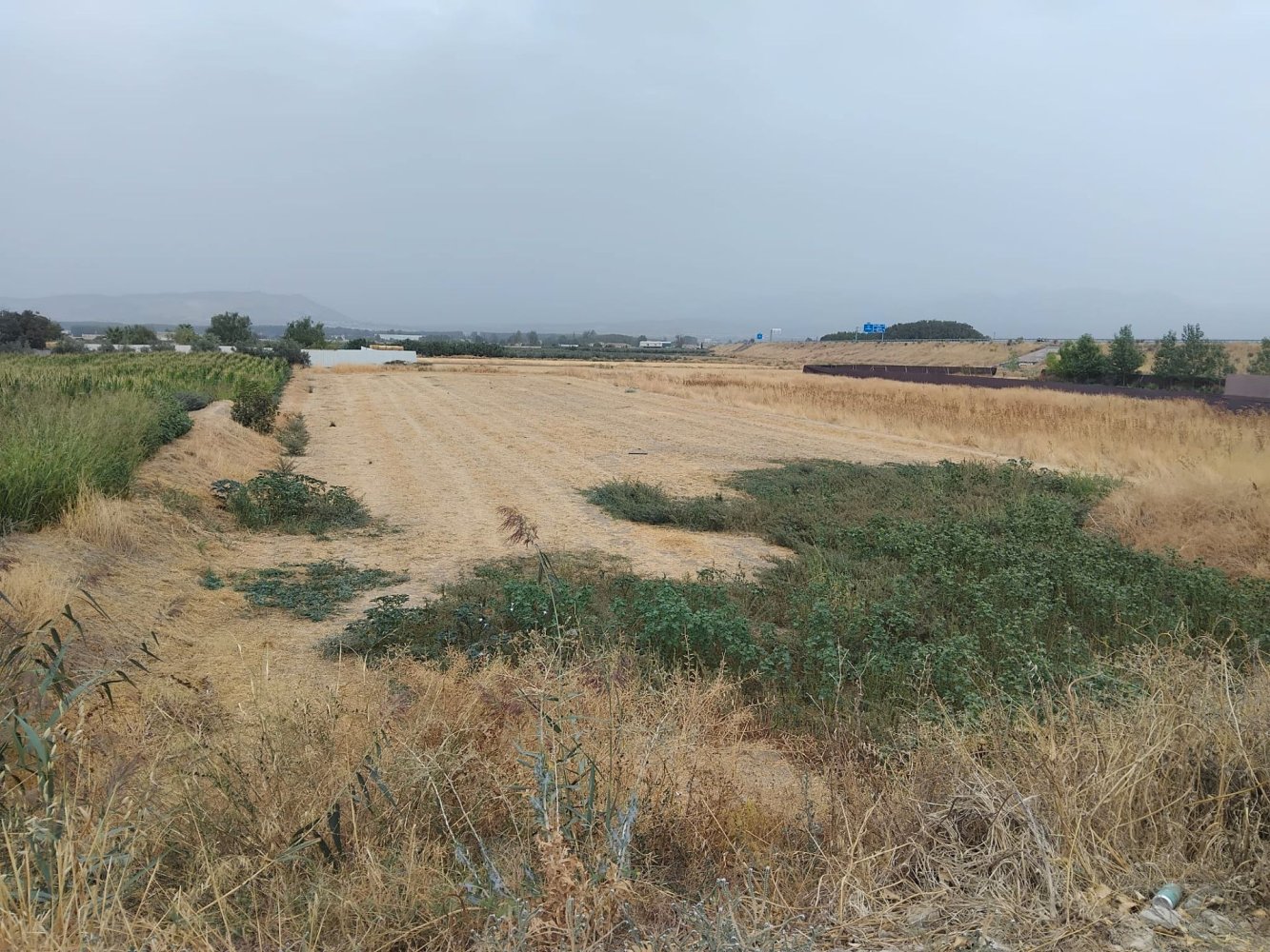 3696m² Land in Santa Fe, Spain No. 281052