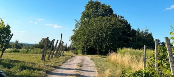 Grundstück in Baden-Baden, Germany, Nr. 242321 2