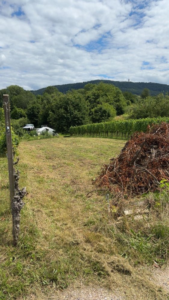 Grundstück in Baden-Baden, Germany, Nr. 242321