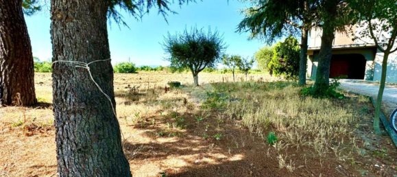 Дом с 5 комнатами в Сан Мауро Пасколи, Италия № 223336 5