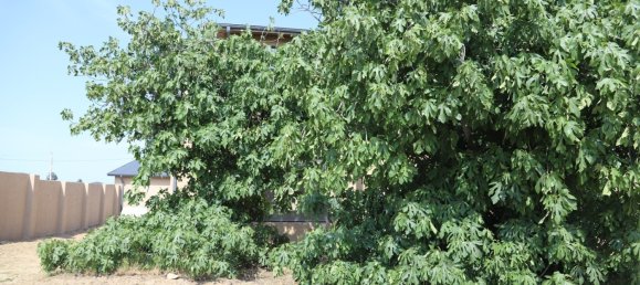 6 bedrooms House in Sabunchu, Azerbaijan No. 1142 5