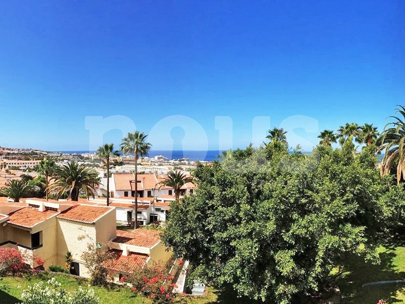 1 bedroom Apartment in Adeje, Spain No. 13911