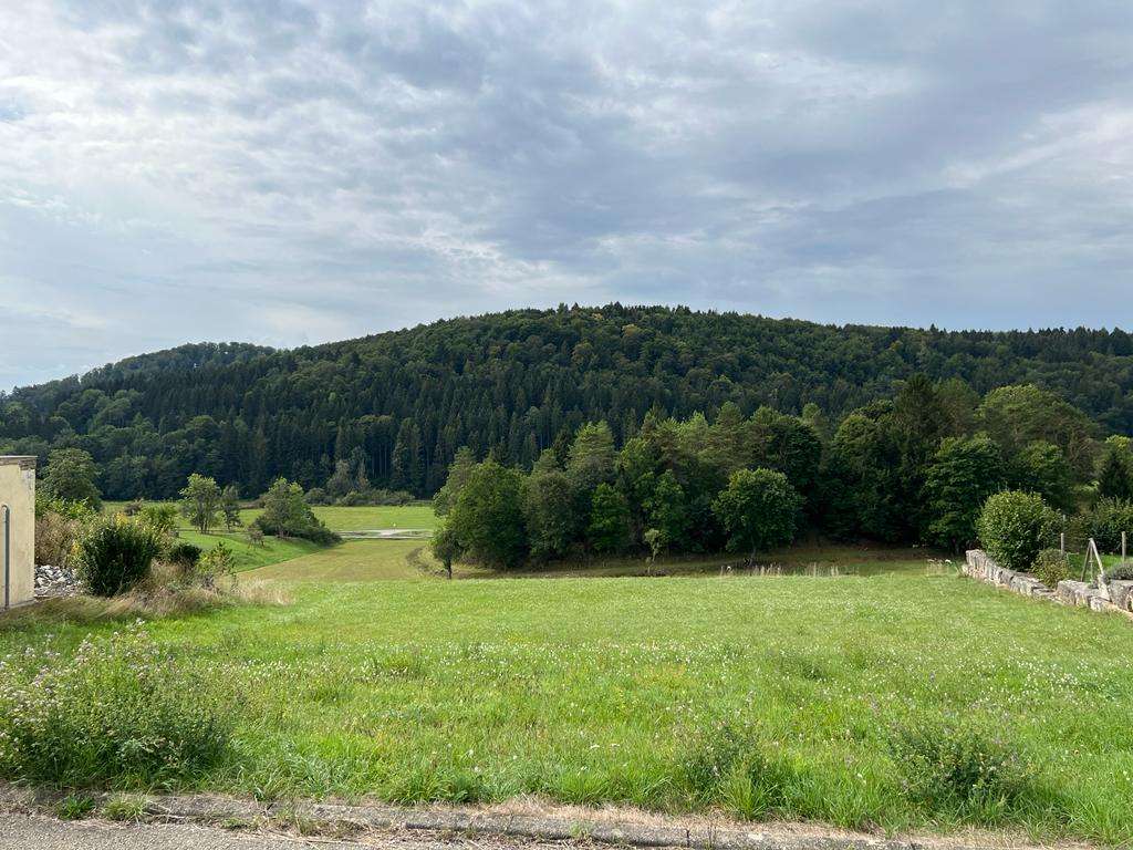 Земельный участок 818м² в Reutlingen, Германия № 64120