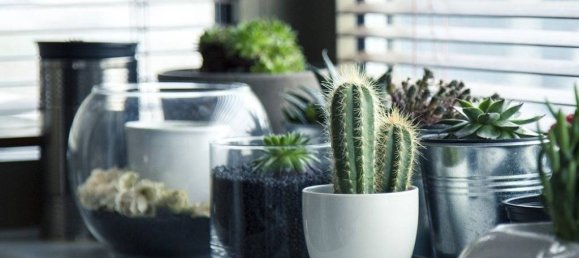 Вилла с 6 спальнями в Сельваццано Дентро, Италия № 115744 4