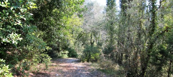 20700m² Hotel in Corfu, Greece No. 5472 4