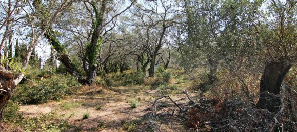 20700m² Hotel in Corfu, Greece No. 5472 15