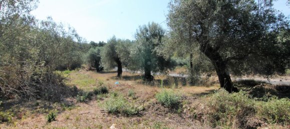 فندق في Corfu, Greece 20700متر مربع رقم 5472 18