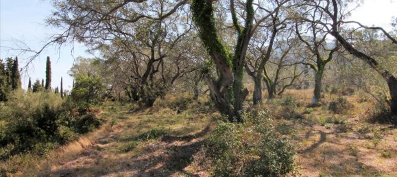 20700m² Hotel in Corfu, Greece No. 5472 16