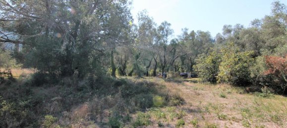  فندق في Corfu, Greece 20700متر مربع رقم 5472 14