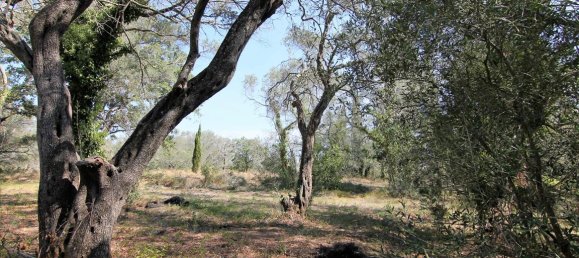 20700m² Hotel in Corfu, Greece No. 5472 9