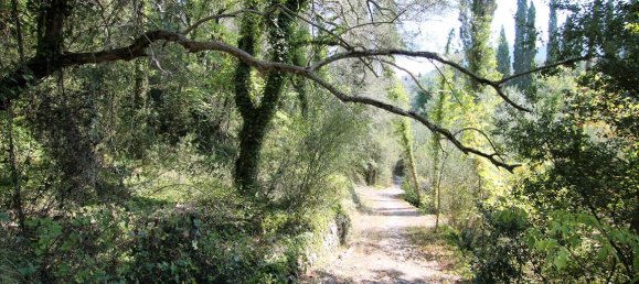 20700m² Hotel in Corfu, Greece No. 5472 5