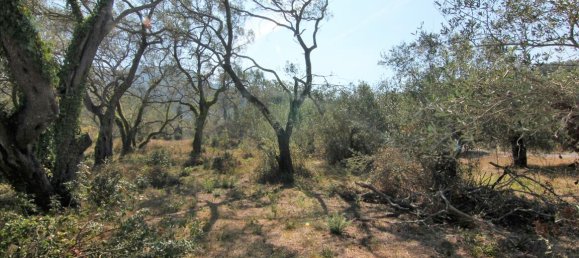 20700m² Hotel in Corfu, Greece No. 5472 17