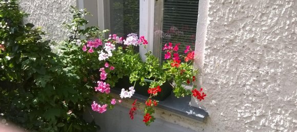 1 bedroom Apartment in Karlshorst, Germany No. 340414 3