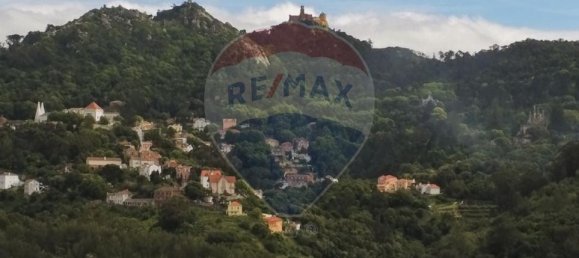 10 Schlafzimmer Haus in Sintra, Portugal, Nr. 66429 4