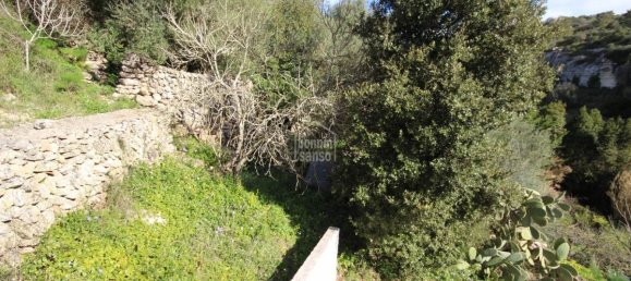 7 bedrooms Finca in Ferreries, Spain No. 5425 14