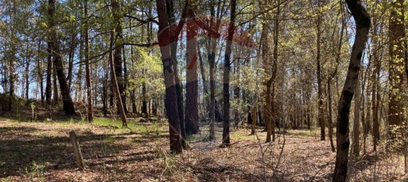 2895m² Land in Vila Verde, Portugal No. 34375 4