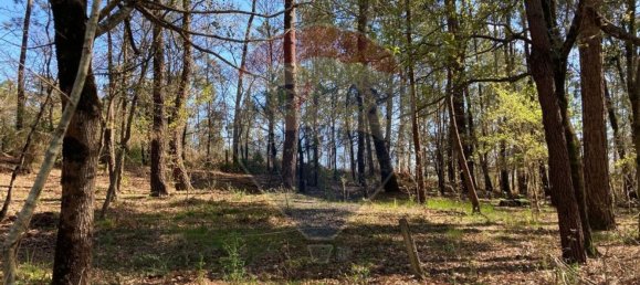 2895m² Land in Vila Verde, Portugal No. 34375 3