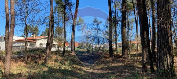 2895m² Land in Vila Verde, Portugal No. 34375 5