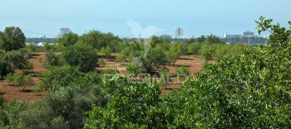 5 bedrooms Castles in Castro Marim, Portugal No. 73182 23