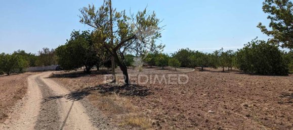 5 bedrooms Castles in Castro Marim, Portugal No. 73182 27