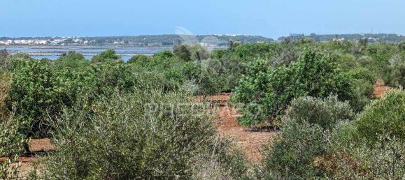 5 bedrooms Castles in Castro Marim, Portugal No. 73182 13