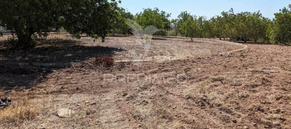 5 bedrooms Castles in Castro Marim, Portugal No. 73182 28