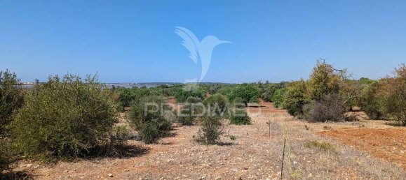 5 bedrooms Castles in Castro Marim, Portugal No. 73182 15