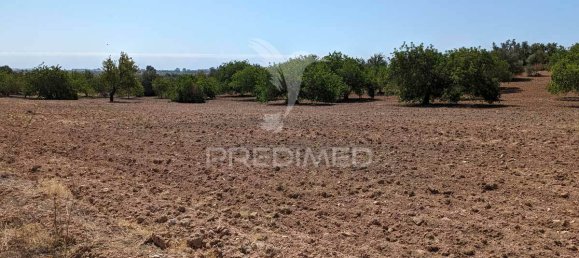 5 bedrooms Castles in Castro Marim, Portugal No. 73182 26