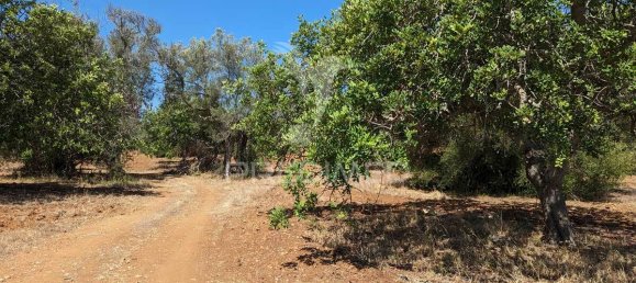 5 bedrooms Castles in Castro Marim, Portugal No. 73182 29