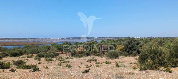 5 bedrooms Castles in Castro Marim, Portugal No. 73182 16