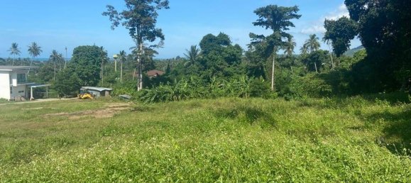  قطعة أرض في Ko Samui, Thailand رقم 13467 4