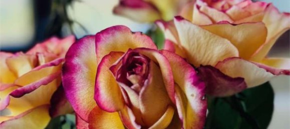 7 rooms Villa in Coriano, Italy No. 291061 12