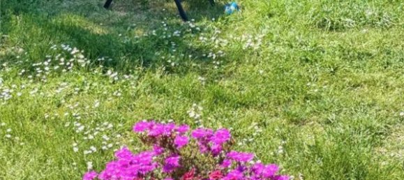 7 rooms Villa in Coriano, Italy No. 291061 44