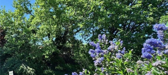 7 rooms Villa in Coriano, Italy No. 291061 9