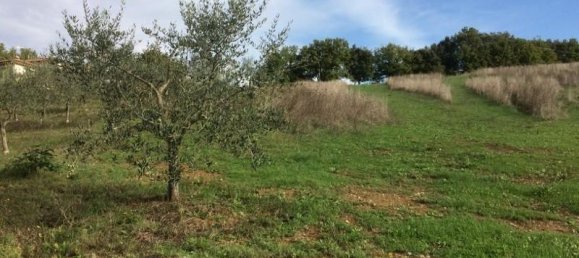 1050m² Land in Casole d'Elsa, Italy No. 12073 5