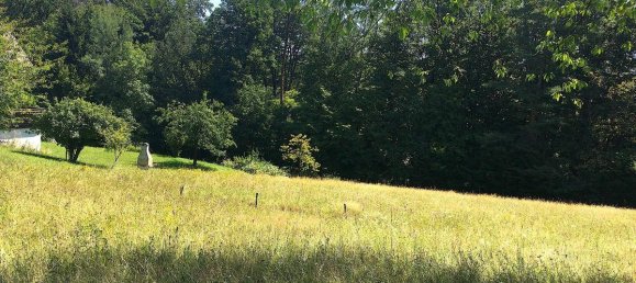 Grundstück in Andritz, Austria, Nr. 166343 6