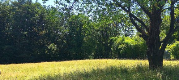 Grundstück in Andritz, Austria, Nr. 166343 2