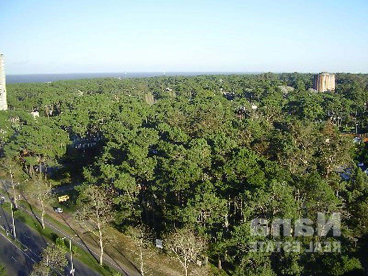 2 bedrooms Apartment in Maldonado, Uruguay No. 6389