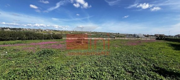 6 rooms Villa in Modica, Italy No. 199293 13